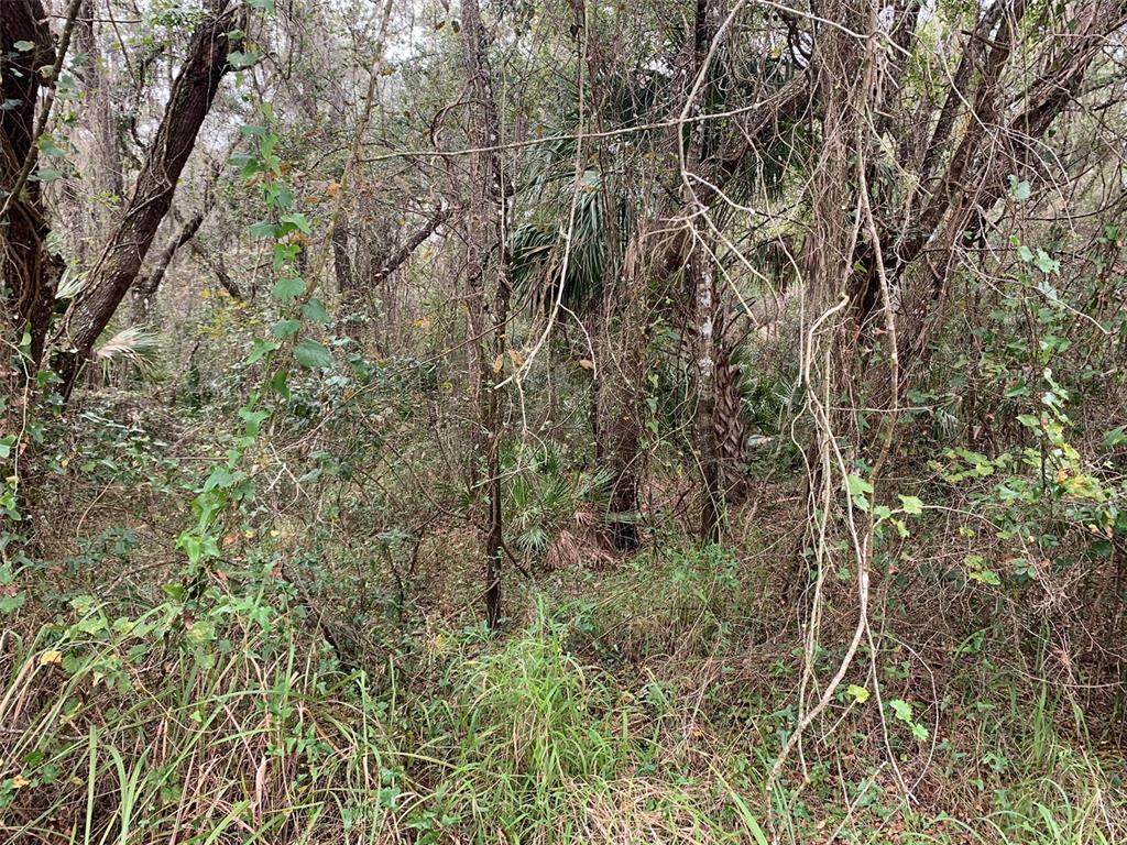 5827 River Bend Road - Photo 1