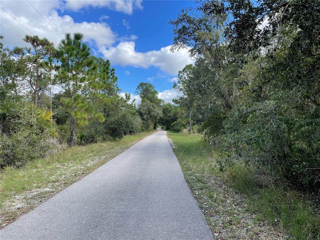 33401 Walnut Drive - Photo 1