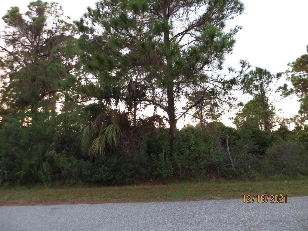 8185 Wheeling Street - Photo 1