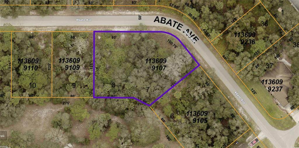 Abate Avenue - Photo 1
