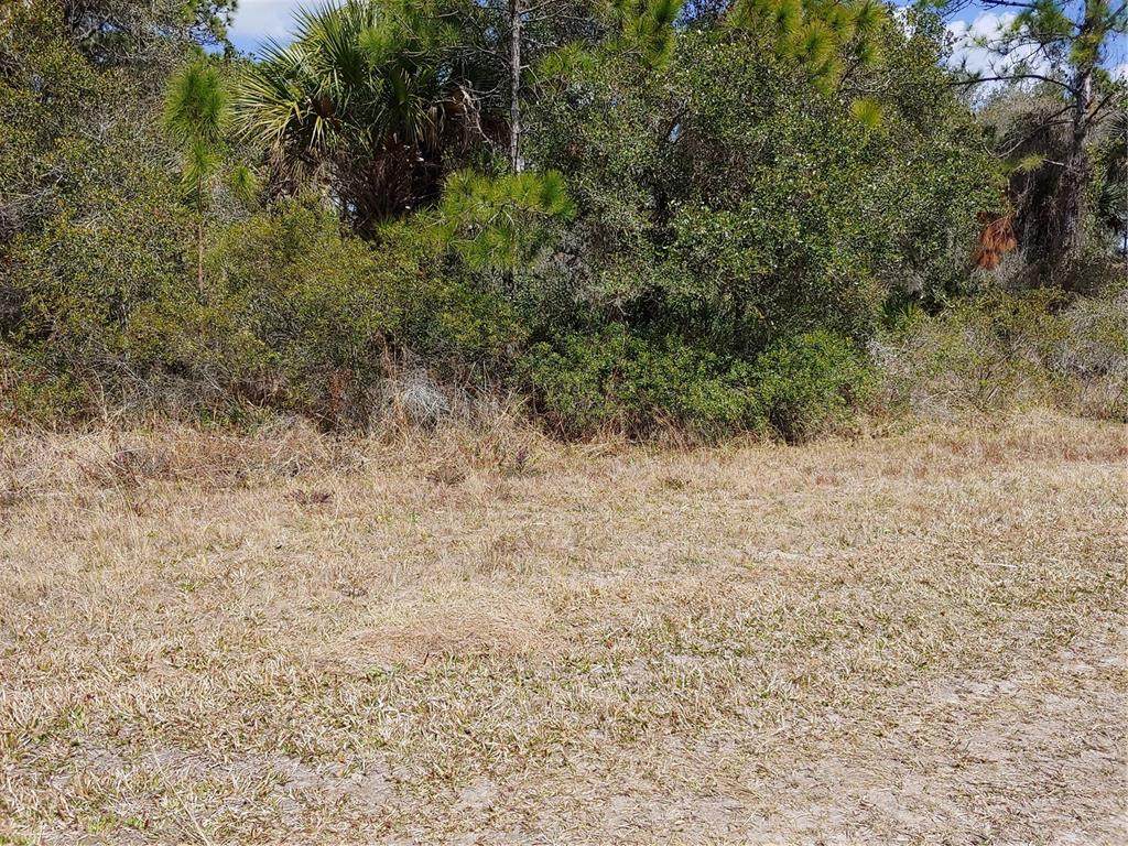 844 Biscayne Drive - Photo 1