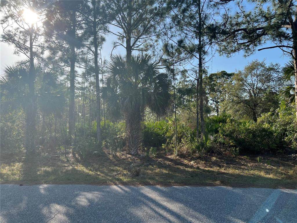 3173 Pickett Street - Photo 1