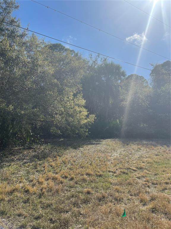 219 Cougar Way - Photo 1