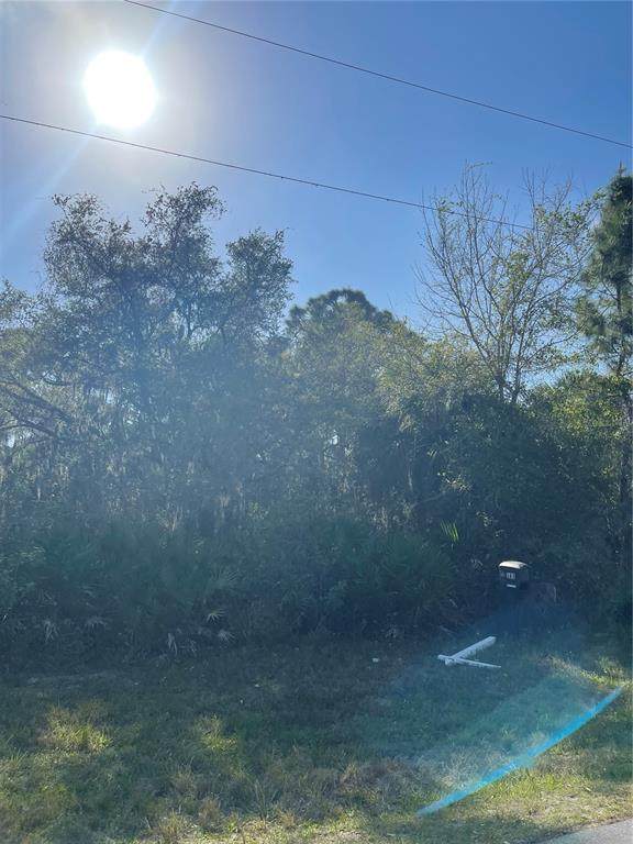 163 Hardee Way - Photo 1