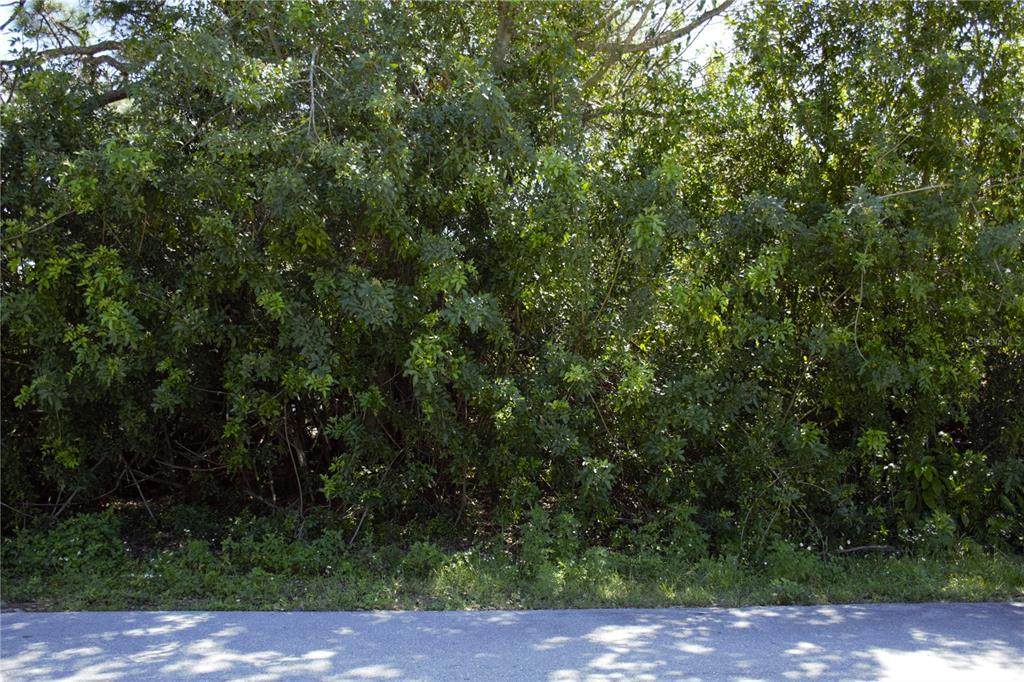 15445 Orchid Drive - Photo 1