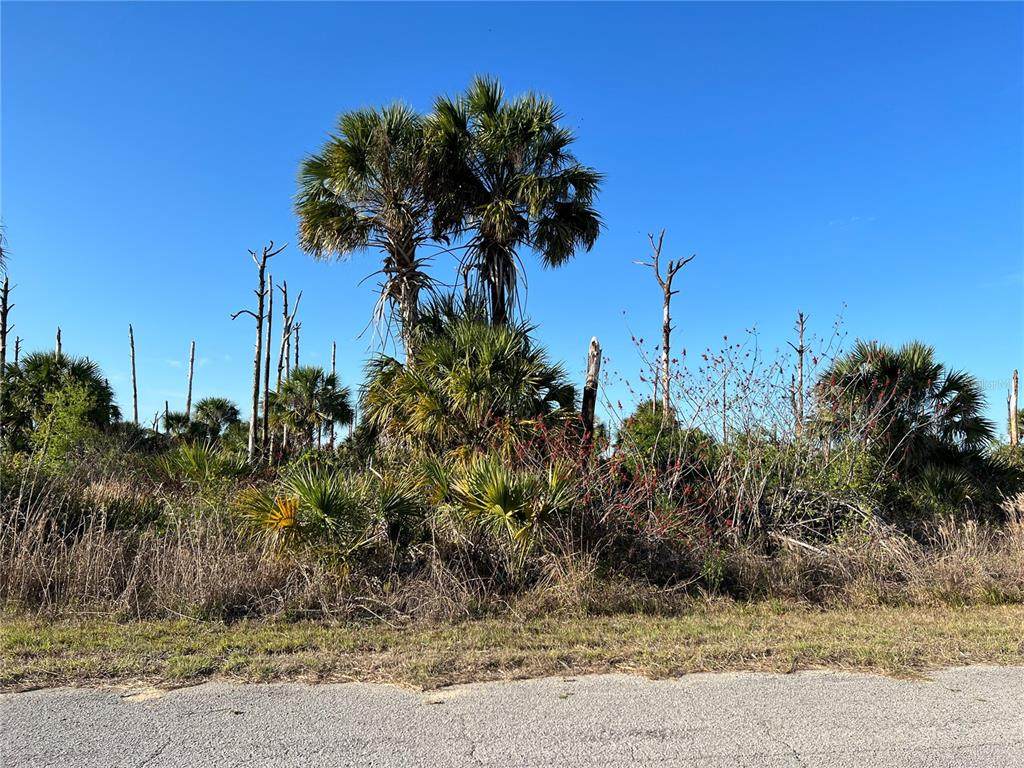 Boskoop Road - Photo 1