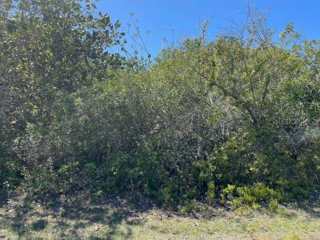 7075 Kaler Street - Photo 1