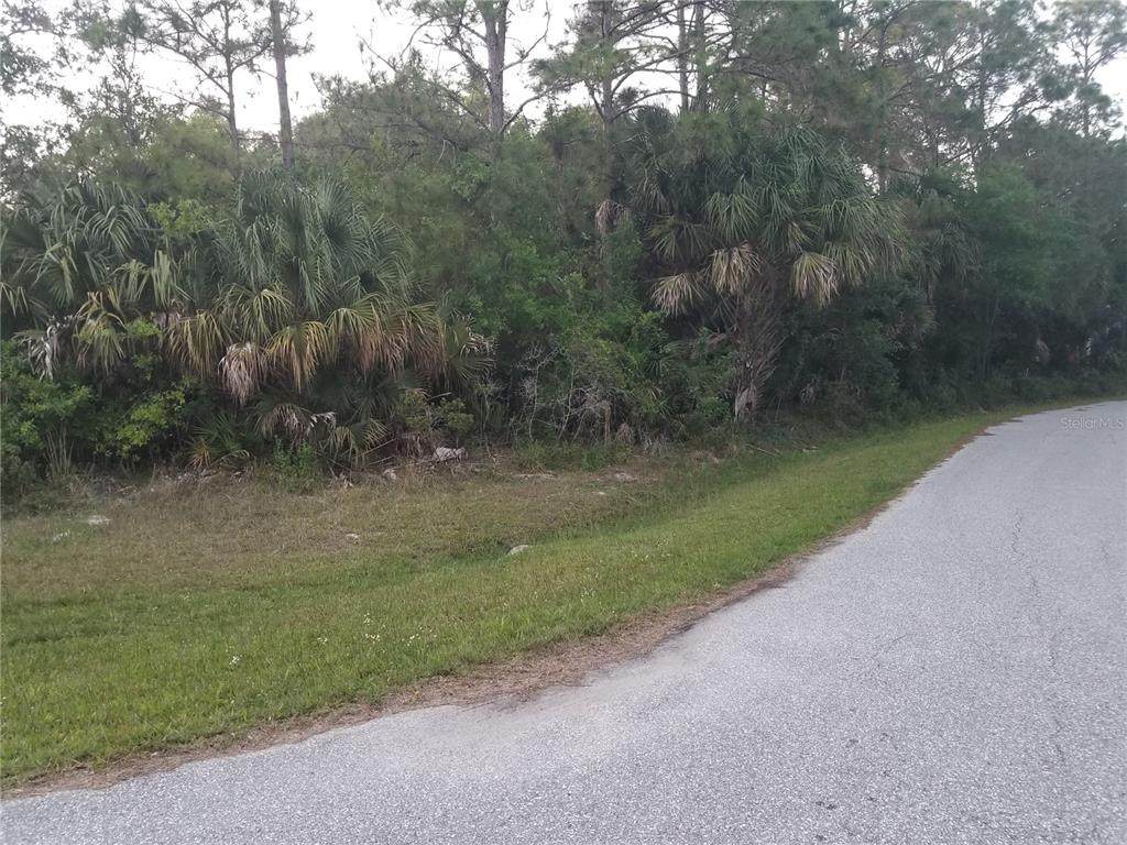 Lanark Avenue - Photo 1