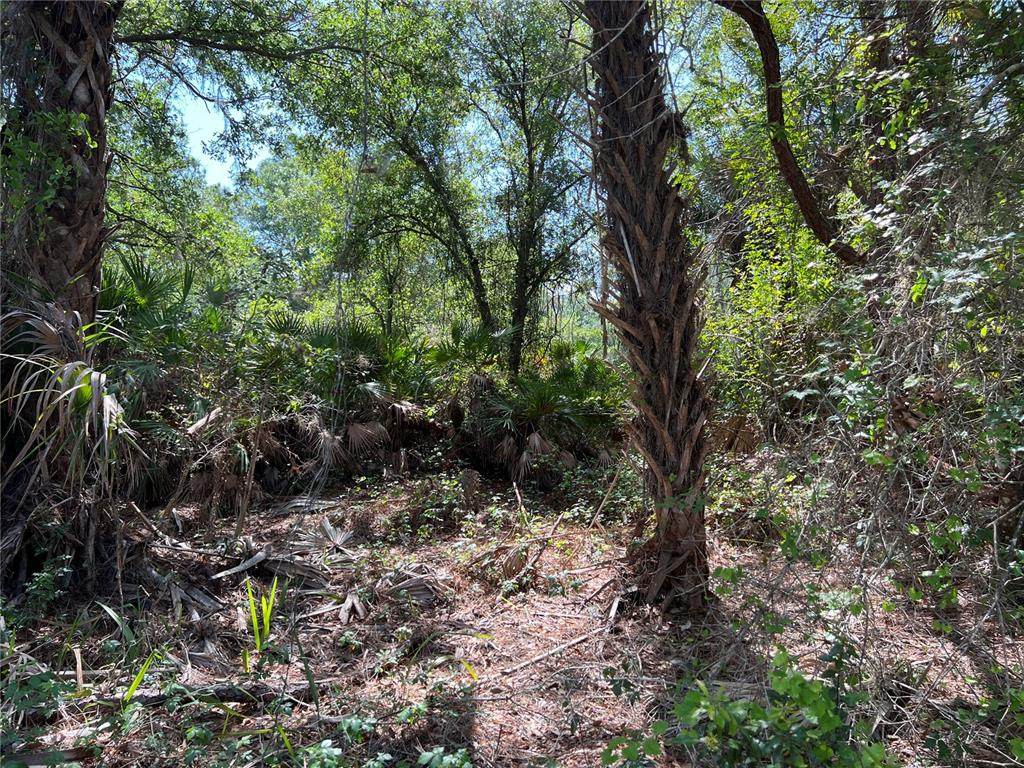 3152 Jody Street - Photo 1