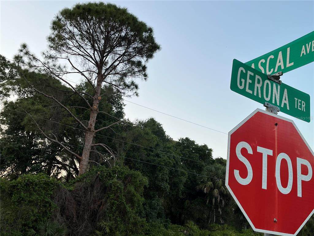 Gerona Terrace - Photo 1
