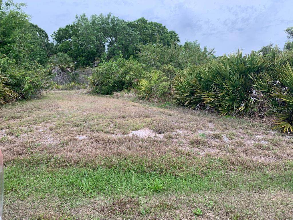 232 Baytree Drive - Photo 1
