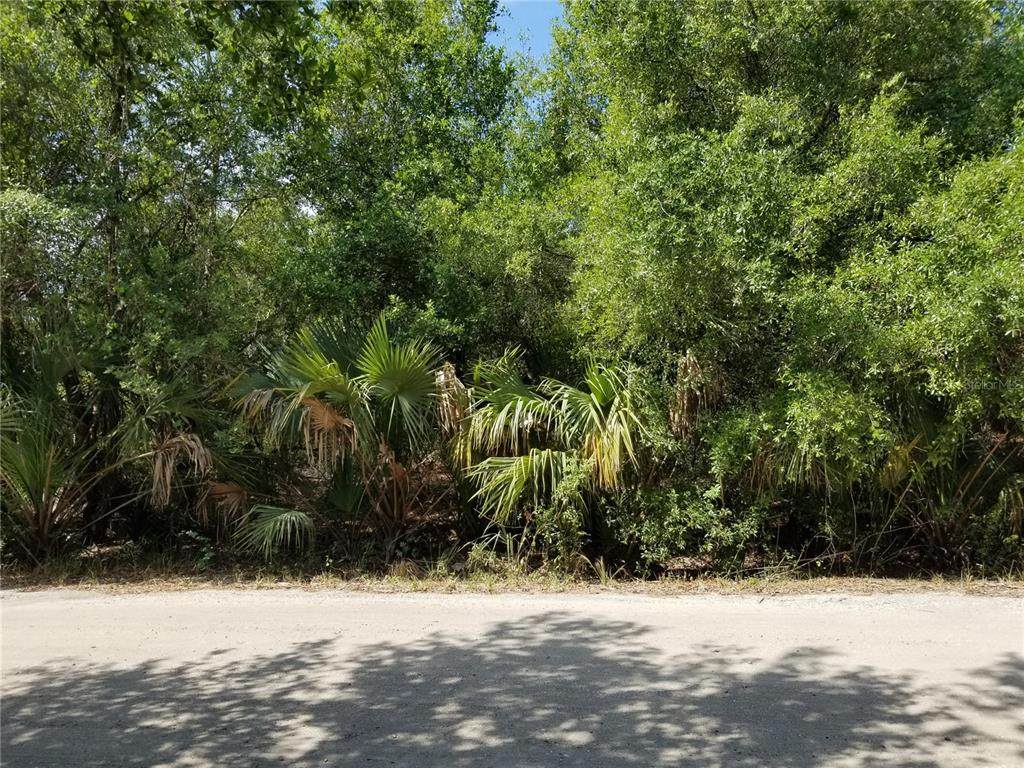27091 Neaptide Drive - Photo 1
