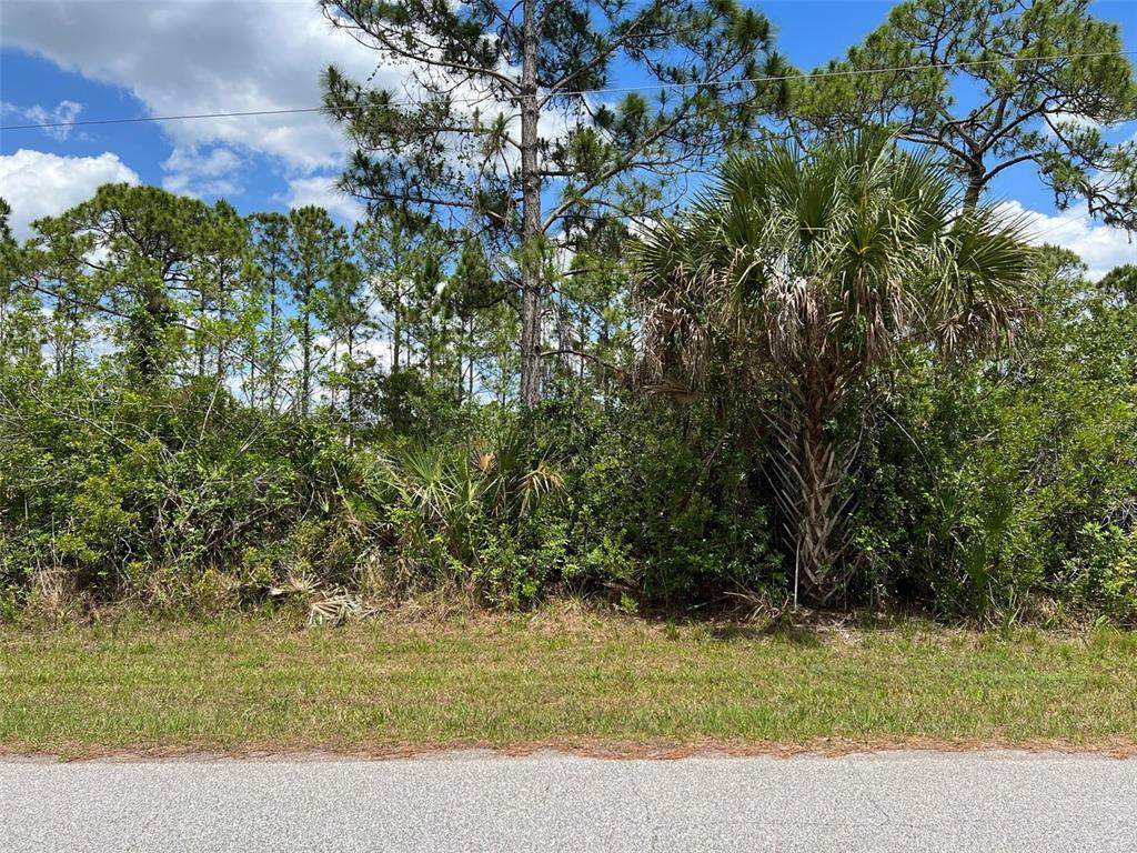 3110 Callisto Street - Photo 1