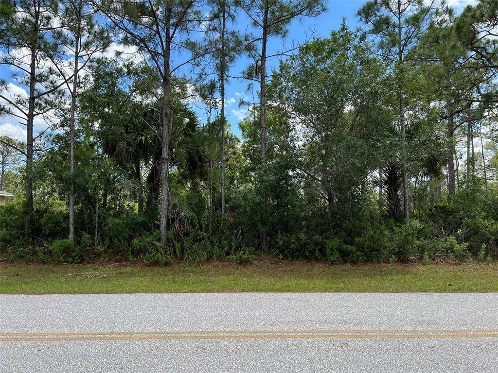 12067 Van Lenten Boulevard - Photo 1