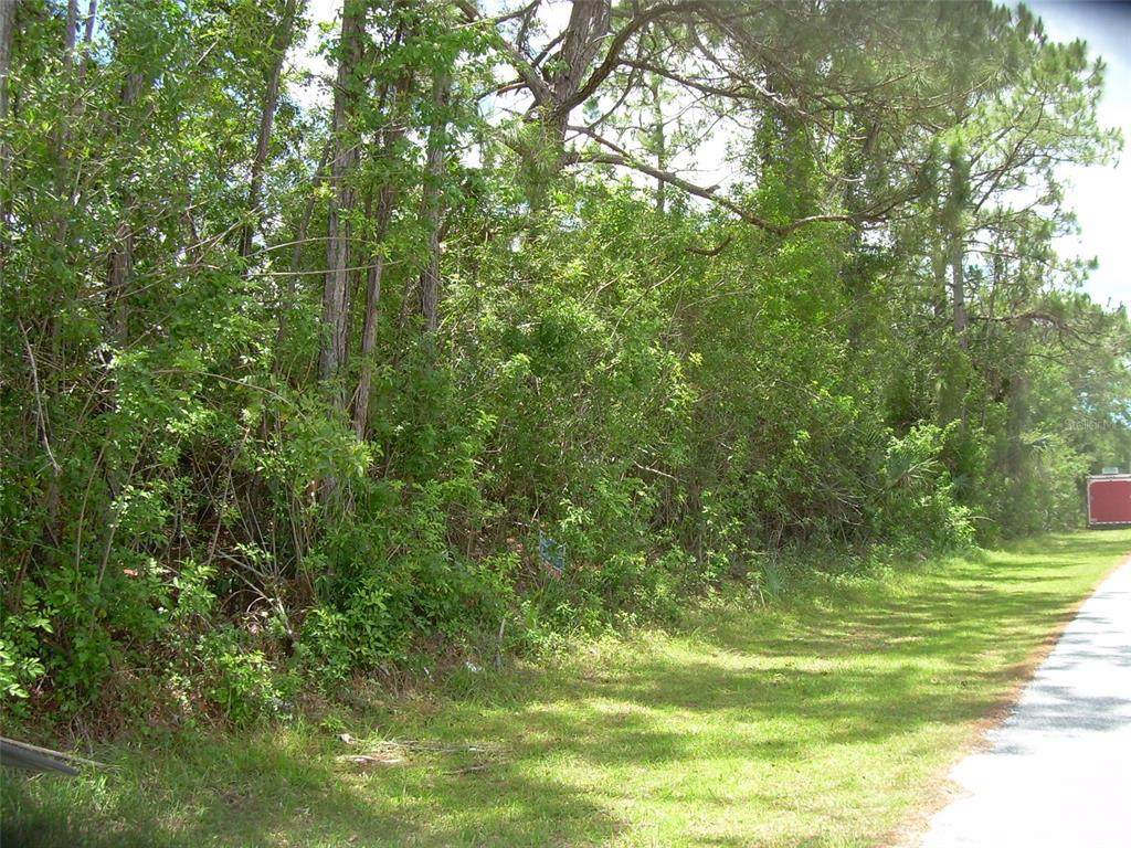 12099 Brookside Avenue - Photo 1