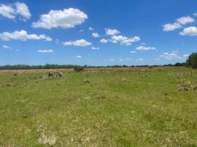 38394 Washington Loop Road - Photo 1