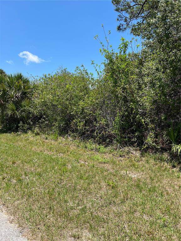7099 Embry Street - Photo 1