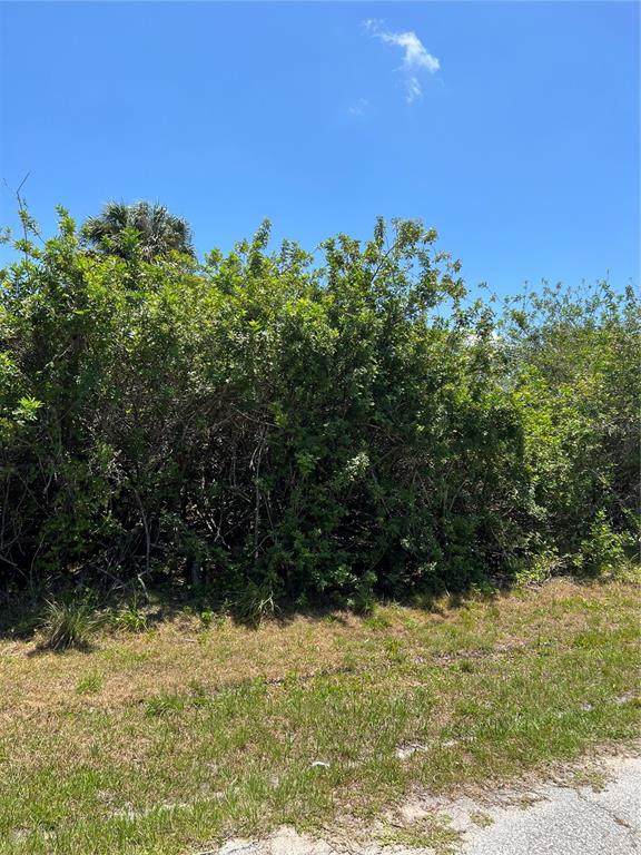 7091 Embry Street - Photo 1