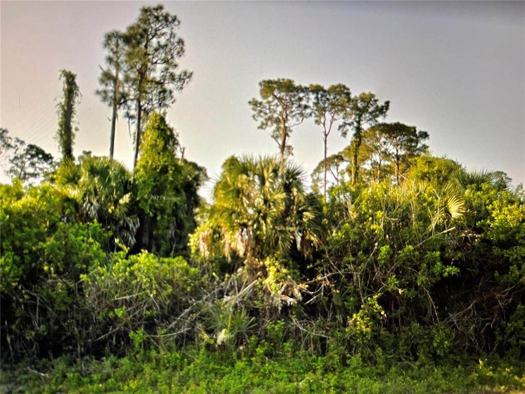Lot 8 Afterglow Street - Photo 1