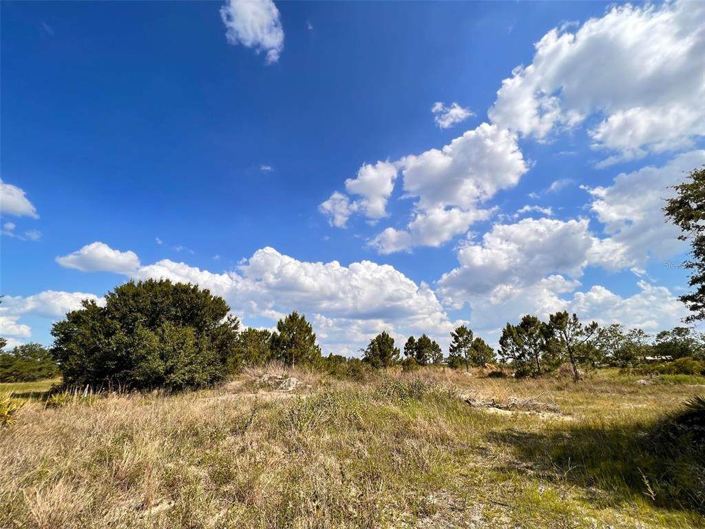 48587 Bermont Road - Photo 1