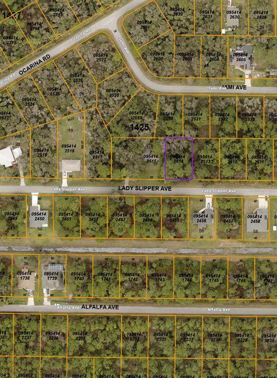 Lady Slipper Avenue - Photo 1