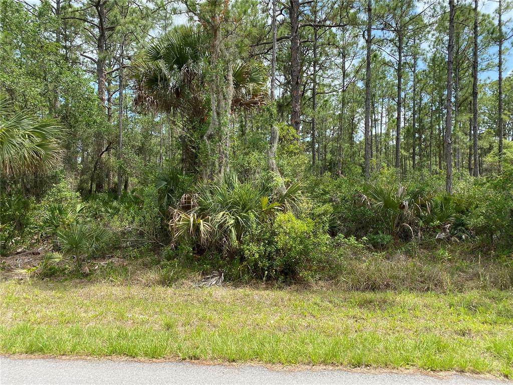 13489 Walmsley Avenue - Photo 1