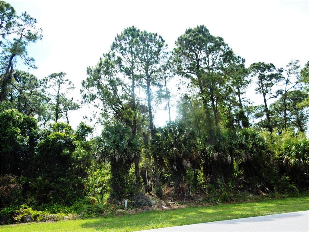 Atwater Drive - Photo 1