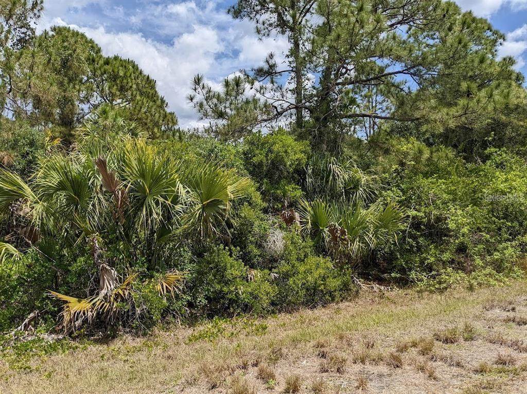 1125232807 Breadnut Street - Photo 1