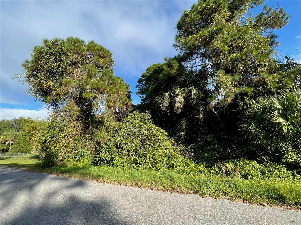 Skrip Avenue - Photo 1