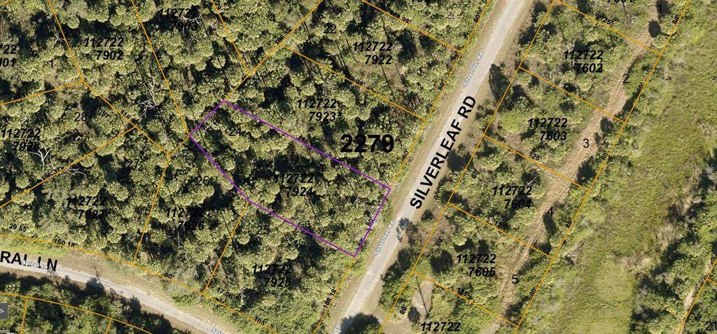 Silverleaf Road - Photo 1