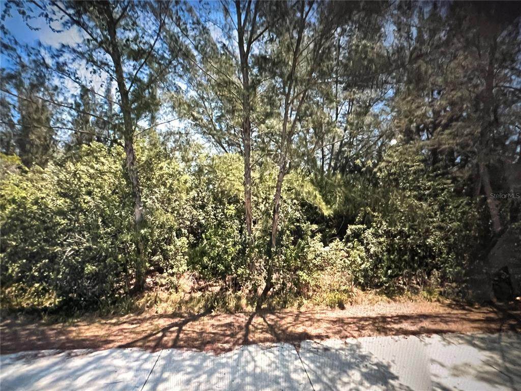 10344 St Paul Drive - Photo 1
