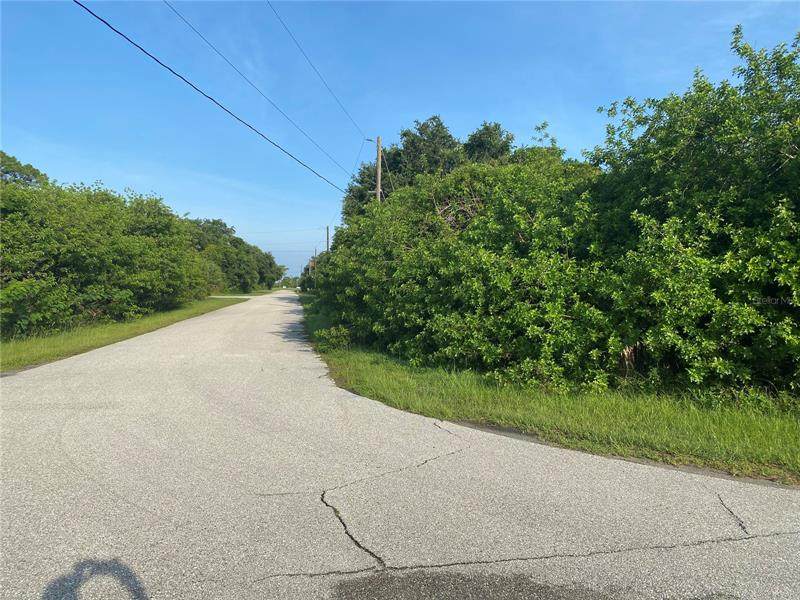10121 Cocoa Beach Street - Photo 1