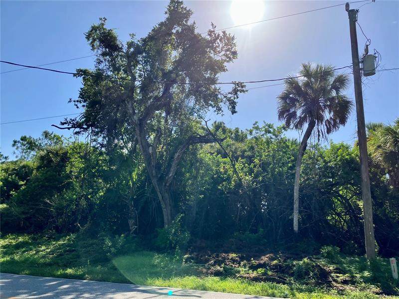 296 Shoreland Street - Photo 1