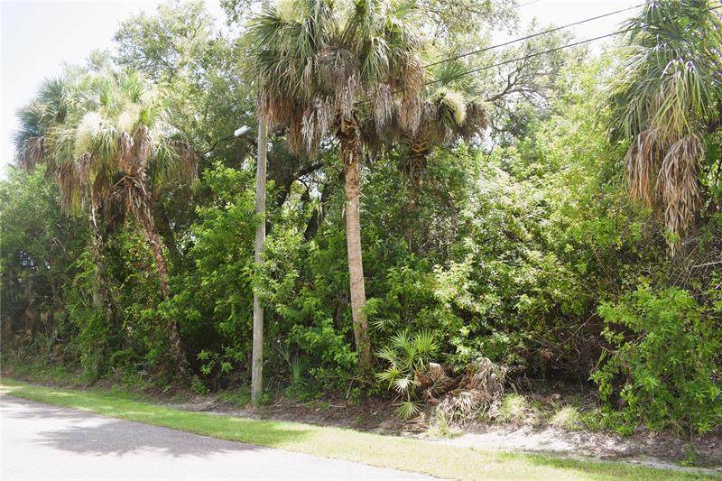 Ridgewood Drive - Photo 1