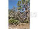 955 Bowman Terrace - Photo 1