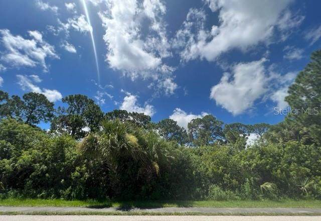 12061 Access Road - Photo 1