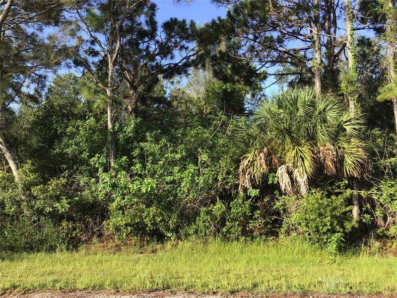 8289 Matecumbe Road - Photo 1