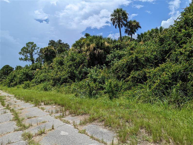 Heyman Avenue - Photo 1