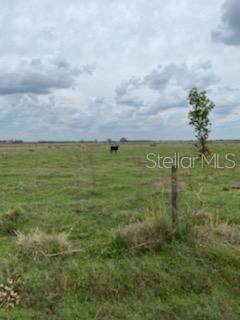 0 Johnston Road - Photo 1