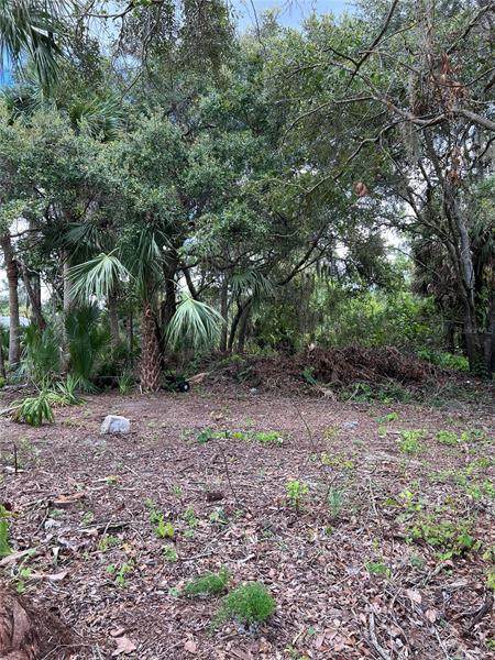 2027 Cannolot Boulevard - Photo 1