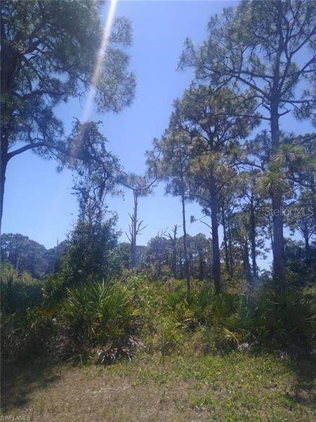 3 Mast Drive - Photo 1