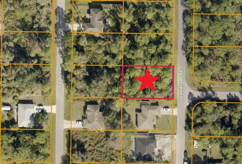 Lot 15 Landrum Street - Photo 1