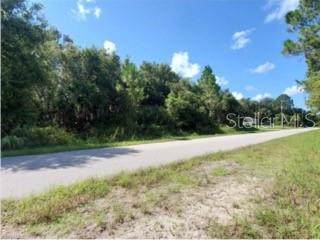 13395 Bouvardia Lane - Photo 1
