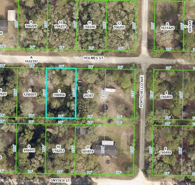 35324 Holmes Street - Photo 1