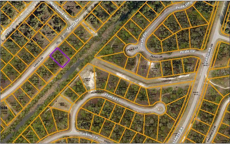 Lot 31 Casco Circle - Photo 1