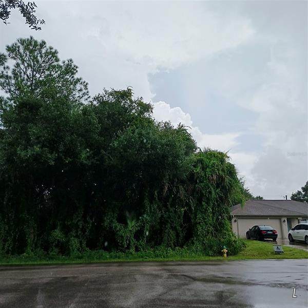 Cynthia Terrace - Photo 1