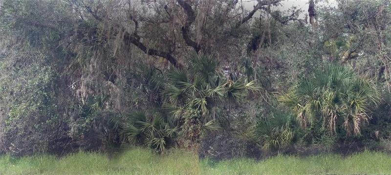 Backert Road - Photo 1