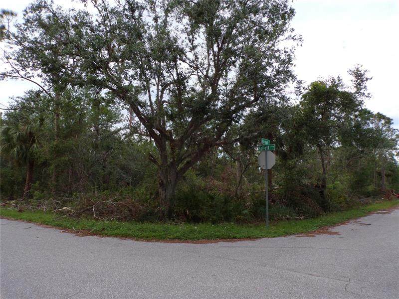 3515 Dream Street - Photo 1