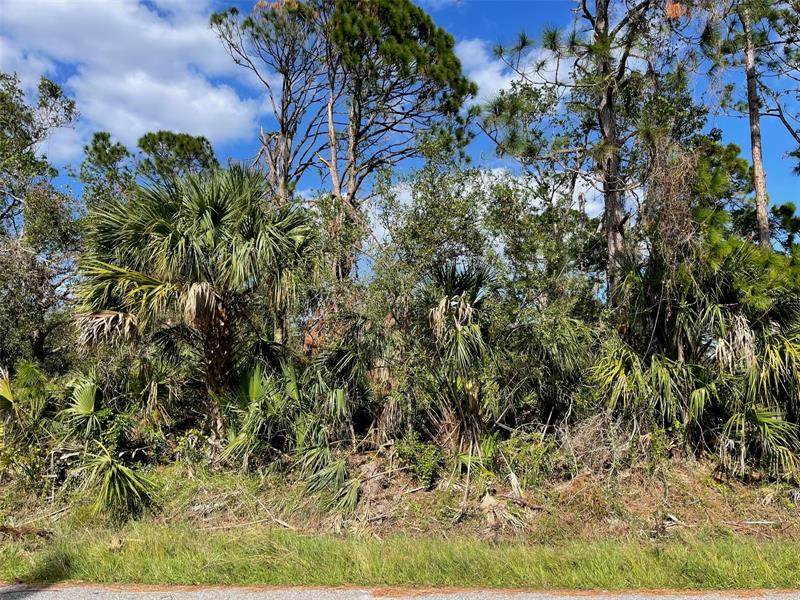 Lot 18 Blk 283 Windsong Avenue - Photo 1