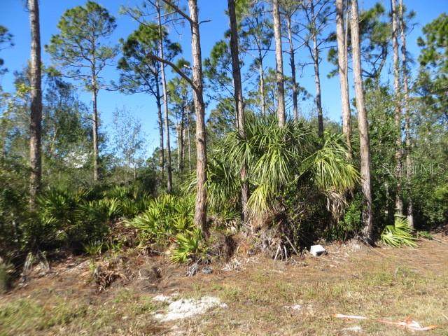 13153 Caliente Drive - Photo 1